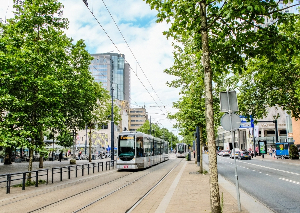 Coolsingel Rotterdam - GreenMax TreeBuilders - TreeParker - reconstruction - revitalising trees (20)