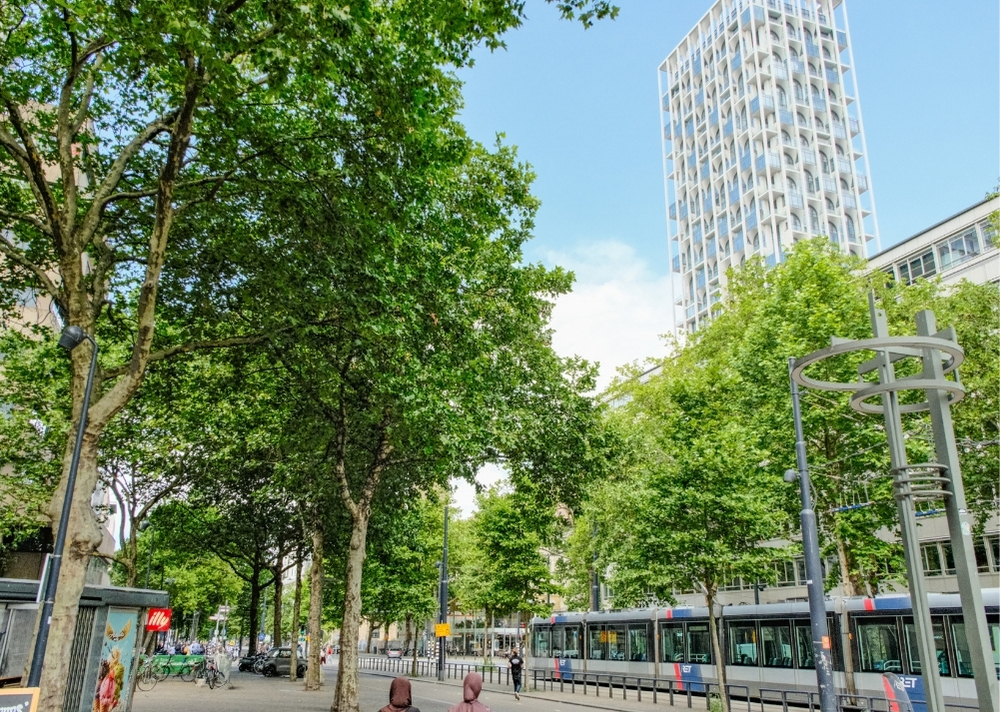 Coolsingel Rotterdam - GreenMax TreeBuilders - TreeParker - reconstruction - revitalising trees (22)