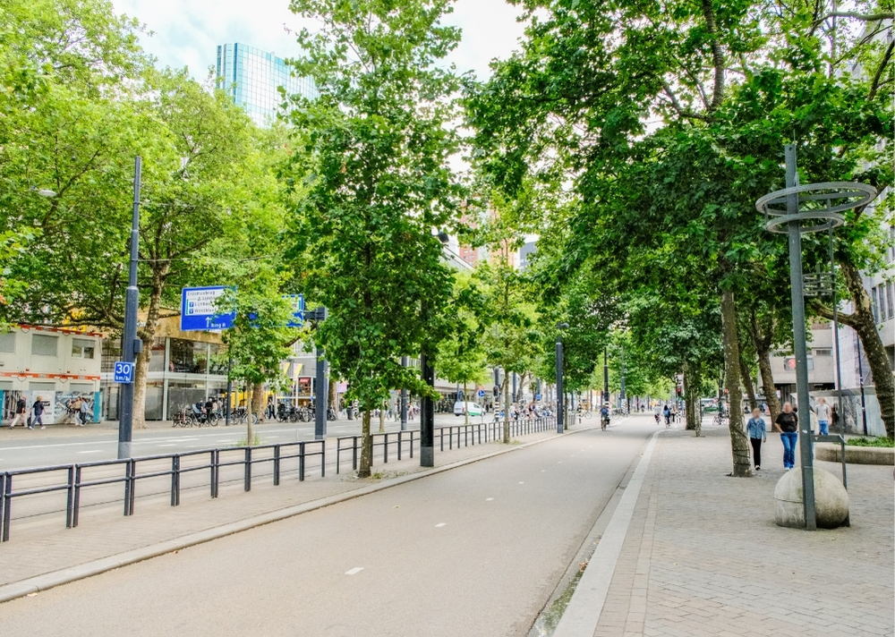 Coolsingel Rotterdam - GreenMax TreeBuilders - TreeParker - reconstruction - revitalising trees