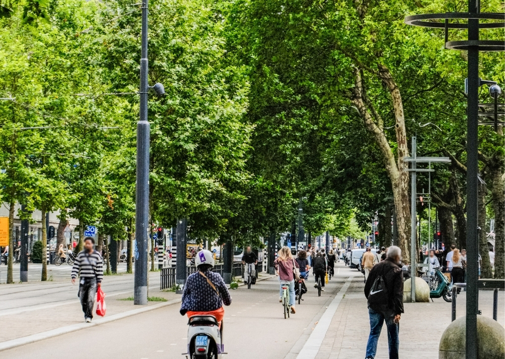 Coolsingel Rotterdam - GreenMax TreeBuilders - TreeParker - reconstruction - revitalising trees