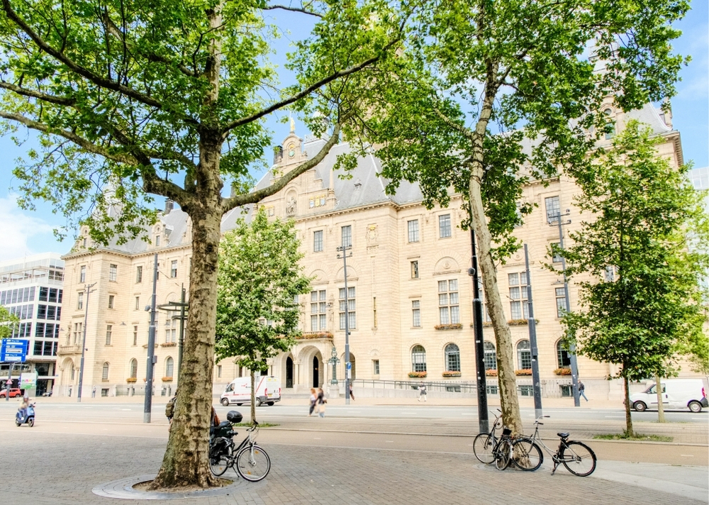 Coolsingel Rotterdam - GreenMax TreeBuilders - TreeParker - reconstruction - revitalising trees