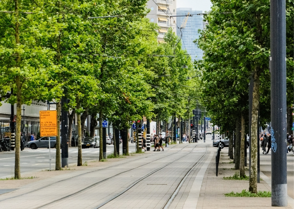 Coolsingel Rotterdam - GreenMax TreeBuilders - TreeParker - reconstruction - revitalising trees