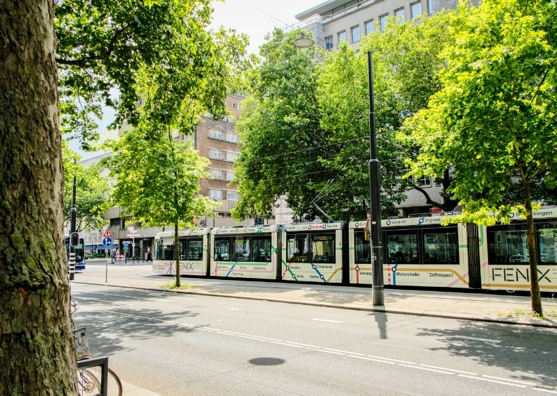 Coolsingel Rotterdam - GreenMax TreeBuilders - TreeParker - reconstruction - revitalising trees (3)