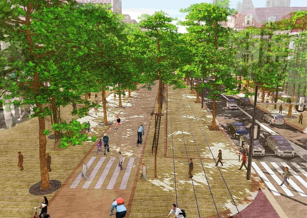 Coolsingel Rotterdam - GreenMax TreeBuilders - TreeParker - reconstruction - revitalising trees