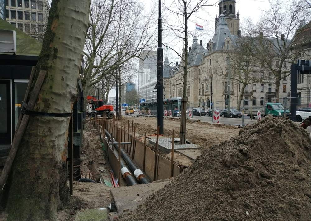 Coolsingel Rotterdam - GreenMax TreeBuilders - TreeParker - reconstruction - revitalising trees