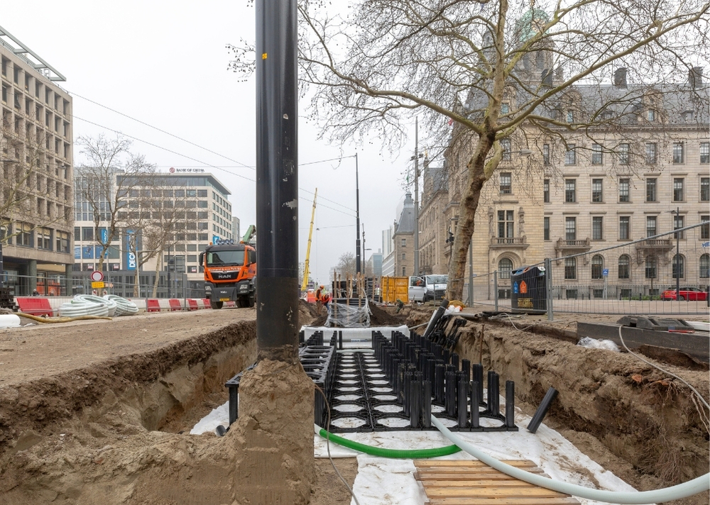 Coolsingel Rotterdam - GreenMax TreeBuilders - TreeParker - reconstruction - revitalising trees