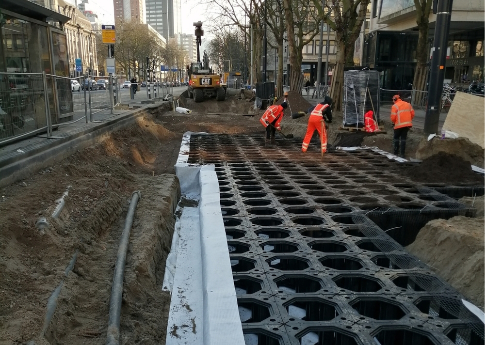 Coolsingel Rotterdam - GreenMax TreeBuilders - TreeParker - reconstruction - revitalising trees