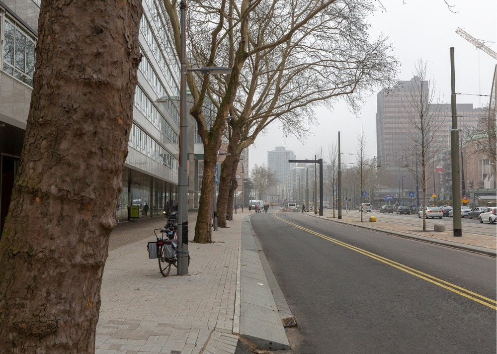 Coolsingel Rotterdam - GreenMax TreeBuilders - TreeParker - reconstruction - revitalising trees