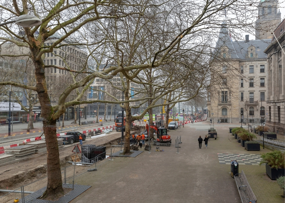 Coolsingel Rotterdam - GreenMax TreeBuilders - TreeParker - reconstruction - revitalising trees