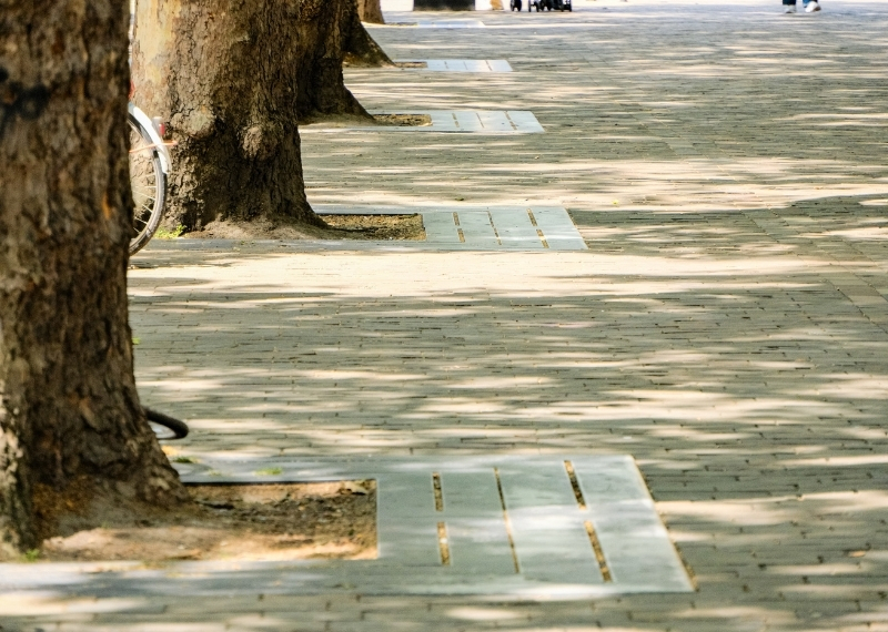 Coolsingel Rotterdam - GreenMax TreeBuilders - TreeParker - reconstruction - revitalising trees