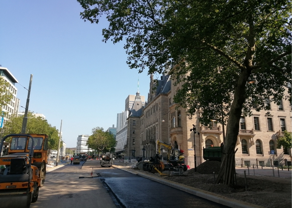 Coolsingel Rotterdam - GreenMax TreeBuilders - TreeParker - reconstruction - revitalising trees
