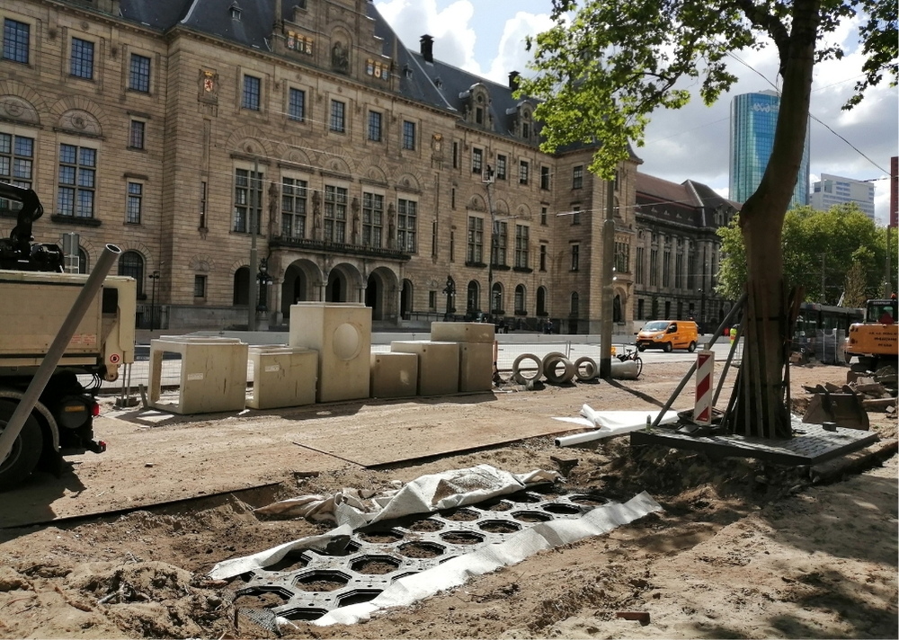 Coolsingel Rotterdam - GreenMax TreeBuilders - TreeParker - reconstruction - revitalising trees