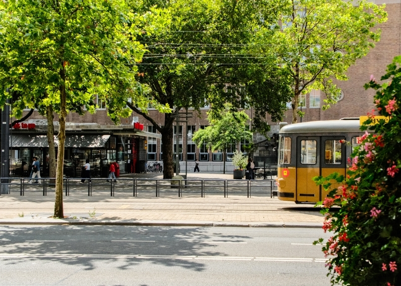 Coolsingel Rotterdam - GreenMax TreeBuilders - TreeParker - reconstruction - revitalising trees
