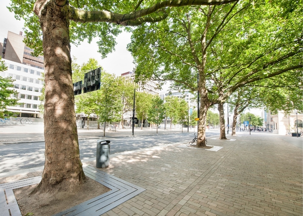 Coolsingel Rotterdam - GreenMax TreeBuilders - TreeParker - reconstruction - revitalising trees (8)