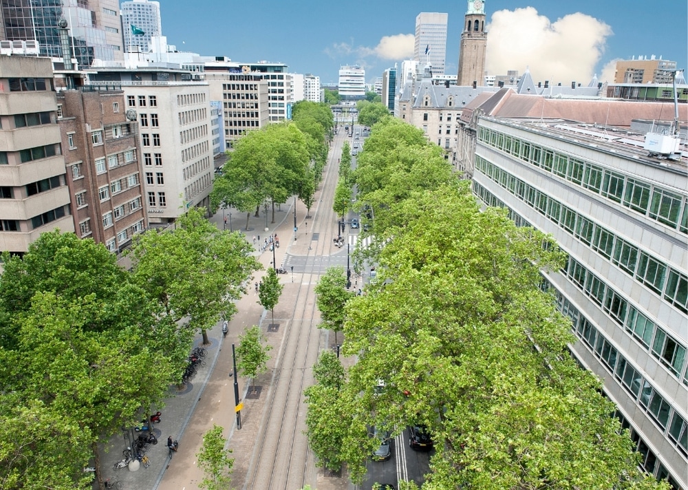 Coolsingel Rotterdam - GreenMax TreeBuilders - TreeParker - reconstruction - revitalising trees (9)
