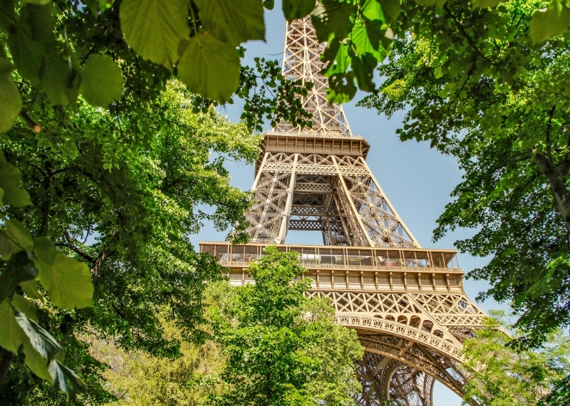 Eiffel Tower Paris - GreenMax - TreeBuilders - TreeParker (6)