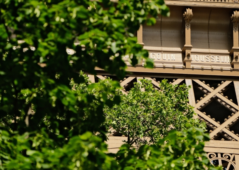 Eiffel Tower Paris - GreenMax - TreeBuilders - TreeParker (6)