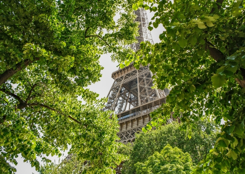 Eiffel Tower Paris - GreenMax - TreeBuilders - TreeParker (17)