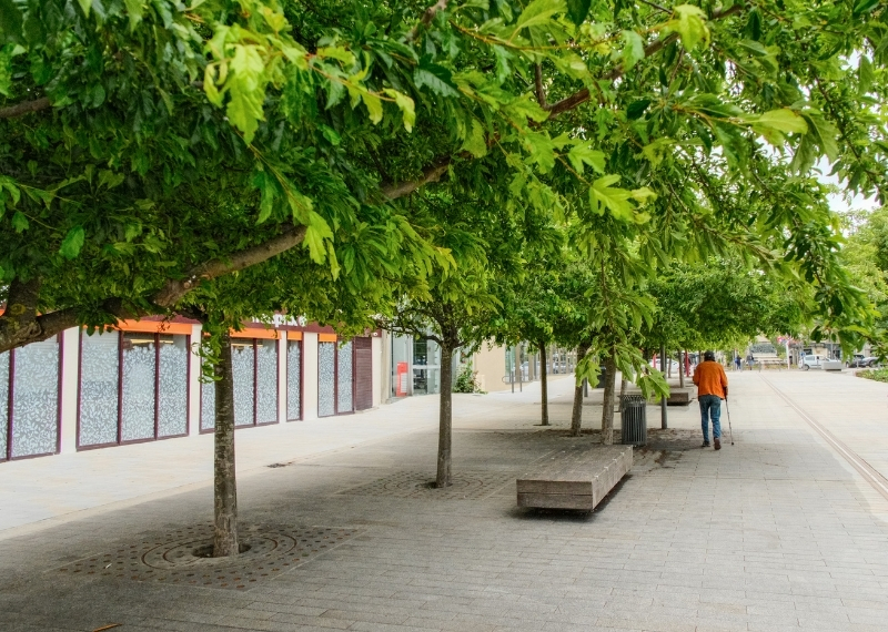 Gare de Troyes TreeParker arbres (15)