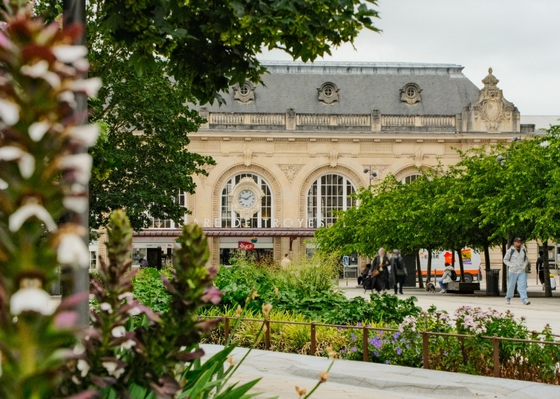 Gare de Troyes TreeParker arbres (16)