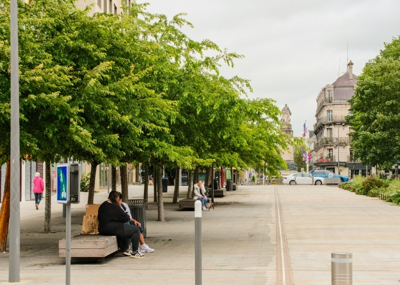 Gare de Troyes TreeParker arbres (11)