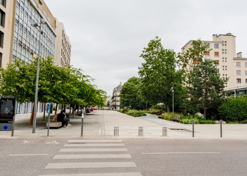 Gare de Troyes TreeParker arbres (18)