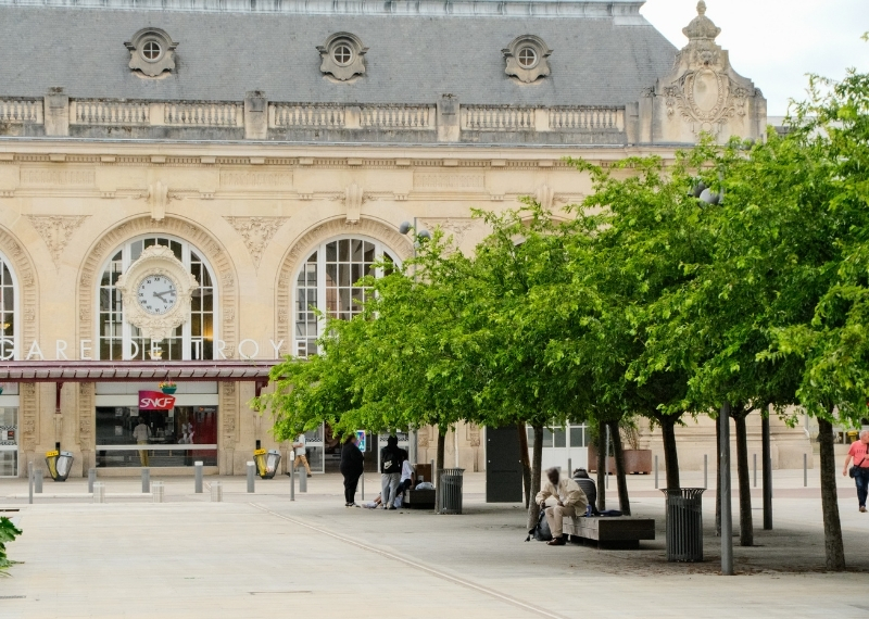Gare de Troyes TreeParker arbres (11)