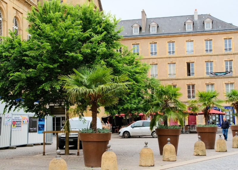 Place de Chambre - Metz - TreeParker - GreenMax (1)