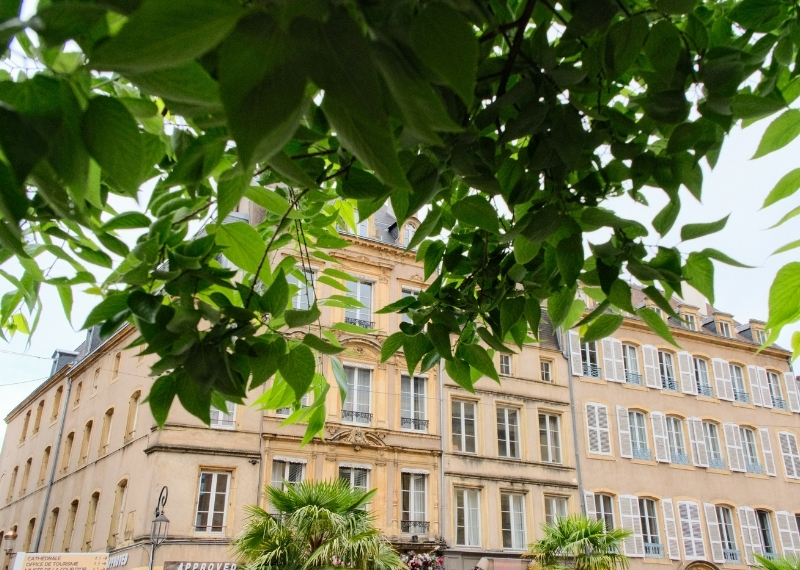 Place de Chambre - Metz - TreeParker - GreenMax (2)
