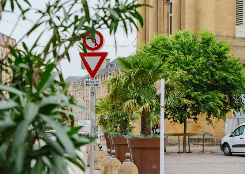 Place de Chambre - Metz - TreeParker - GreenMax (3)