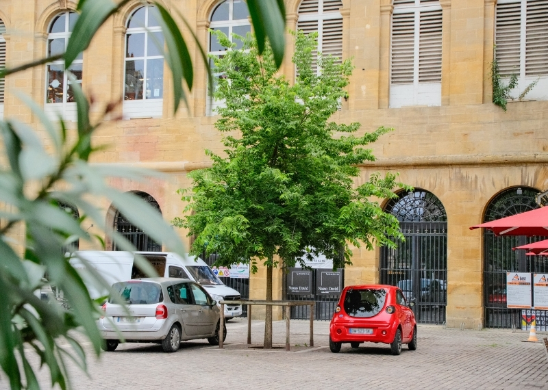 Place de Chambre - Metz - TreeParker - GreenMax (5)