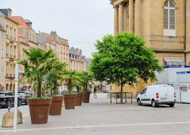 Place de Chambre - Metz - TreeParker - GreenMax (6)