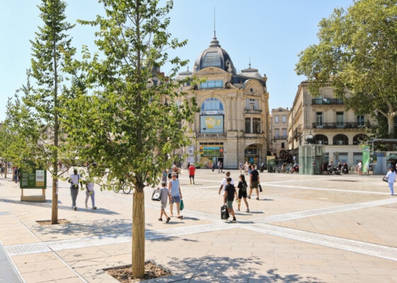Place de la Comédie Montpellier - TreeParker - GreenMax TreeBuilders (11)