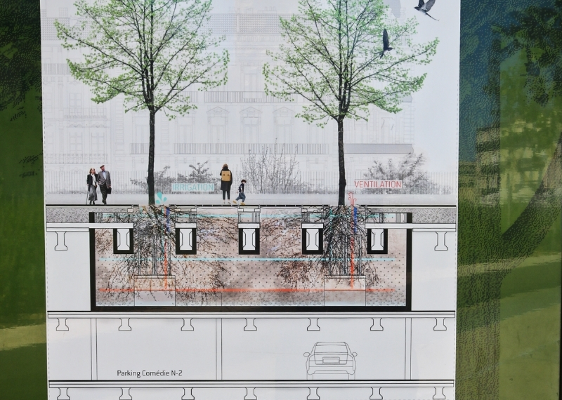 Place de la Comédie Montpellier - TreeParker - GreenMax TreeBuilders (2)