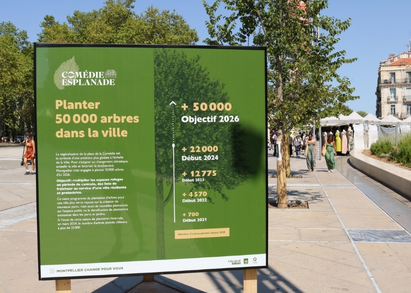Place de la Comédie Montpellier - TreeParker - GreenMax TreeBuilders (15)