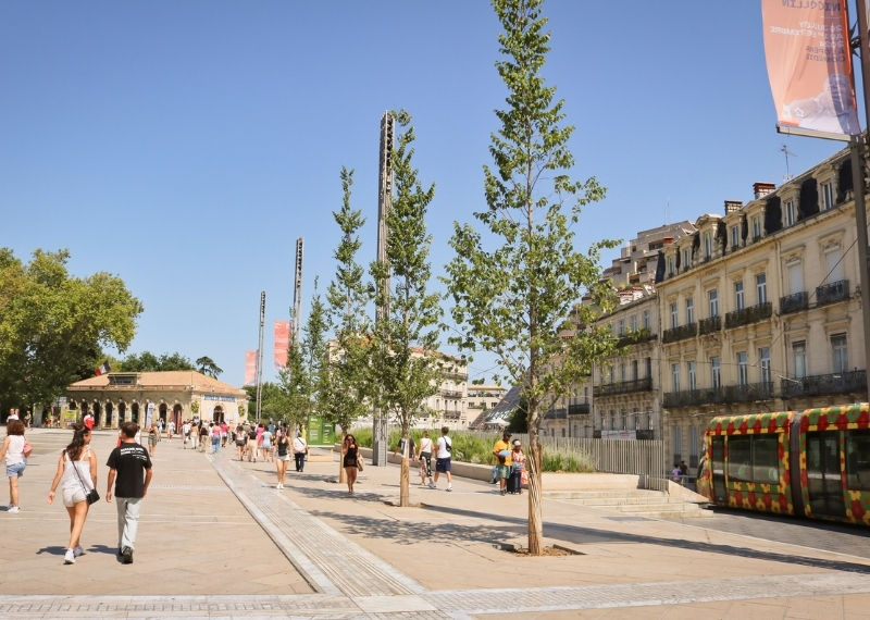 Place de la Comédie Montpellier - TreeParker - GreenMax TreeBuilders (2)