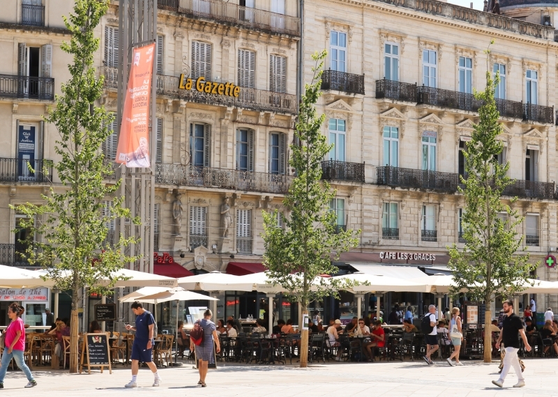 Place de la Comédie Montpellier - TreeParker - GreenMax TreeBuilders (2)