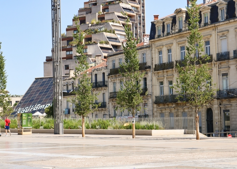 Place de la Comédie Montpellier - TreeParker - GreenMax TreeBuilders (2)