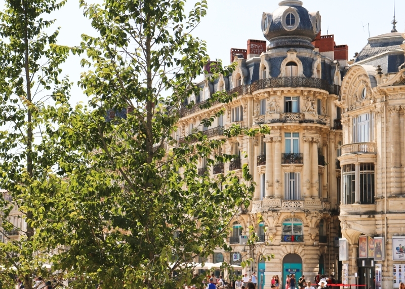 Place de la Comédie Montpellier - TreeParker - GreenMax TreeBuilders (19)