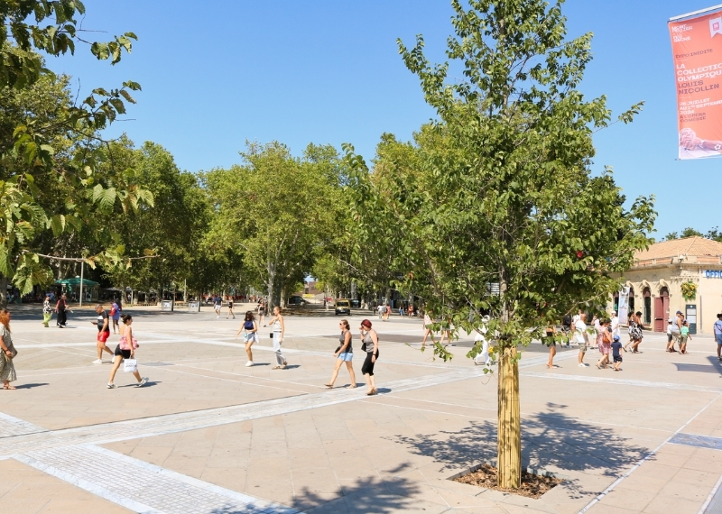 Place de la Comédie Montpellier - TreeParker - GreenMax TreeBuilders (20)