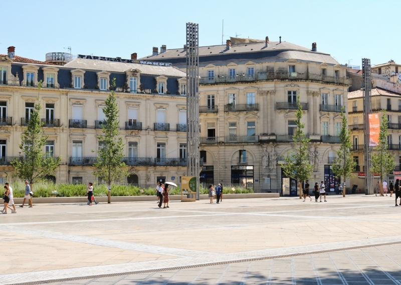 Place de la Comédie Montpellier - TreeParker - GreenMax TreeBuilders (2)