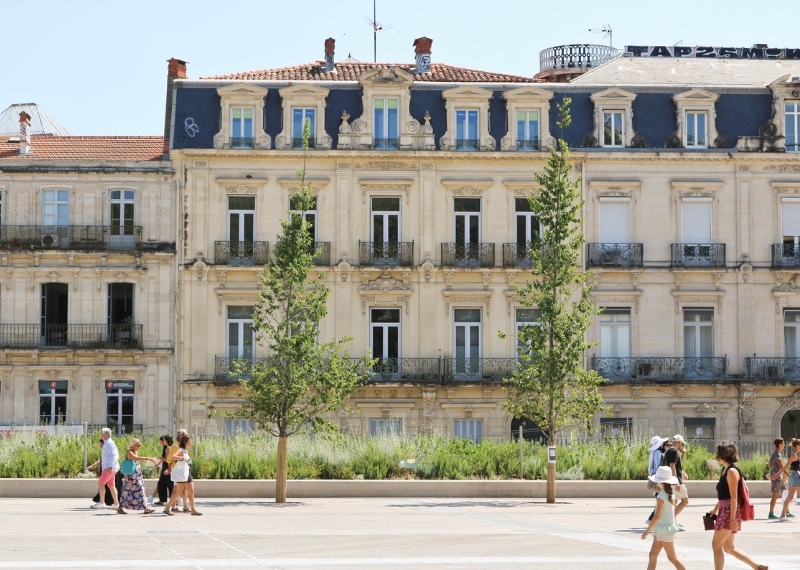 Place de la Comédie Montpellier - TreeParker - GreenMax TreeBuilders (2)