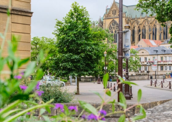TreeParker - Place de la Comédie - Metz (11)
