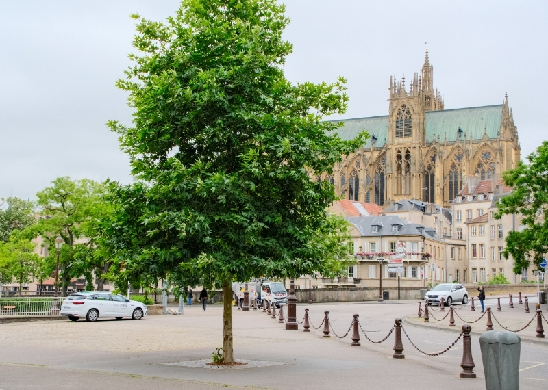 Place de Chambre - Metz - TreeParker - GreenMax (3)