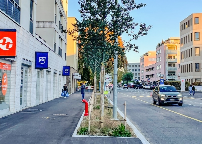Buchserstrasse Aarau–Buchs–Suhr - TreeParker - GreenMax TreeBuilders (3)