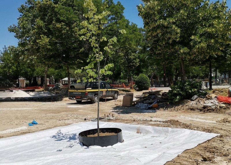 Ergatiki Protomayia, Larisa - TreeParker - GreenMax TreeBuilders - Urban Green (12)