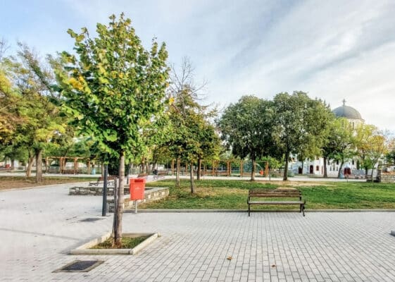 Ergatiki Protomayia, Larisa - TreeParker - GreenMax TreeBuilders - Urban Green (13)