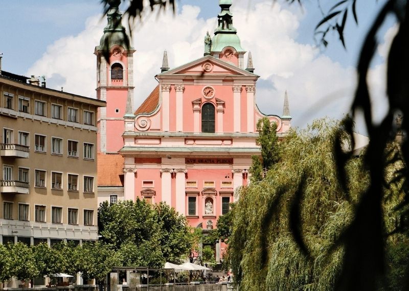 Ljubljana - Center Rog - urban trees - GreenMax TreeParker TreeBuilders (1)