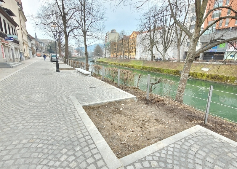 Ljubljana - Center Rog - urban trees - GreenMax TreeParker TreeBuilders (1)