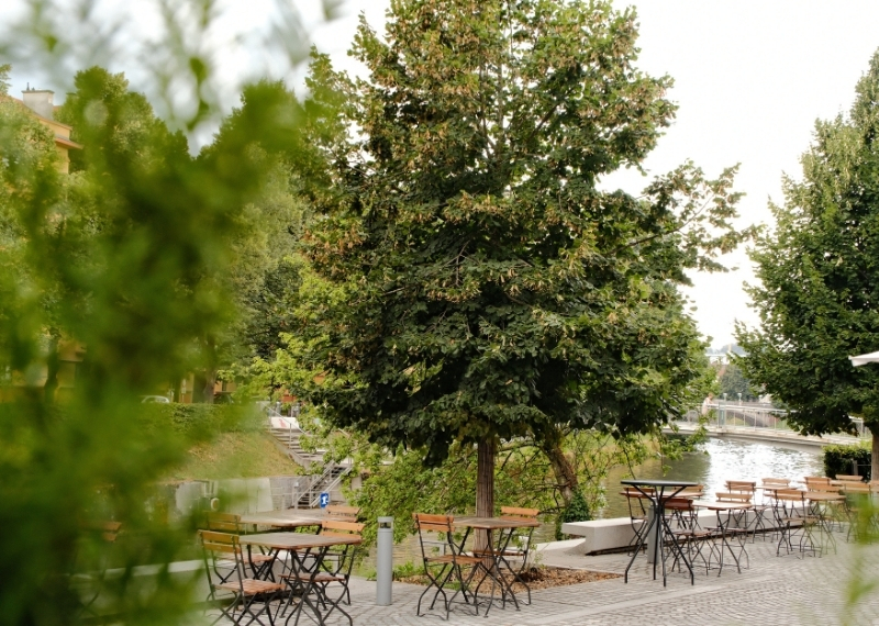 Ljubljana - Center Rog - urban trees - GreenMax TreeParker TreeBuilders (10)
